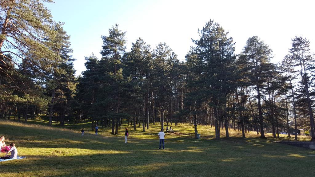 Apartman Ksenija Zlatibor Exterior foto